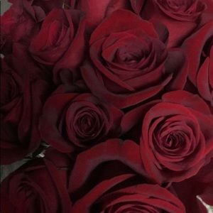 Meet your Posher, Janie